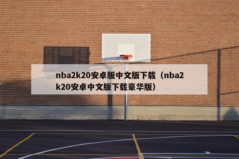 nba2k20安卓版中文版下載（nba2k20安卓中文版下載豪華版）